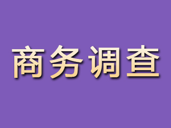 桂东商务调查